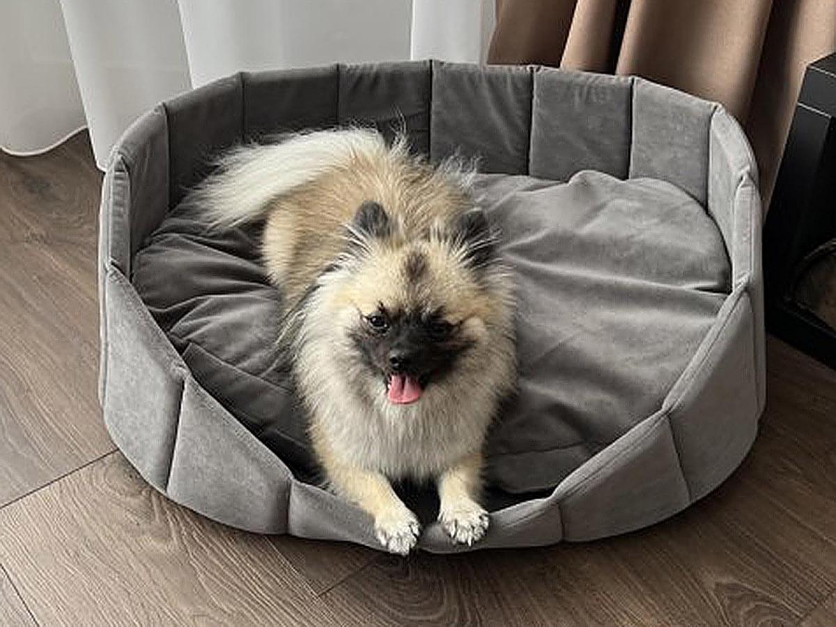 Лежанка для животных Харпер L серая