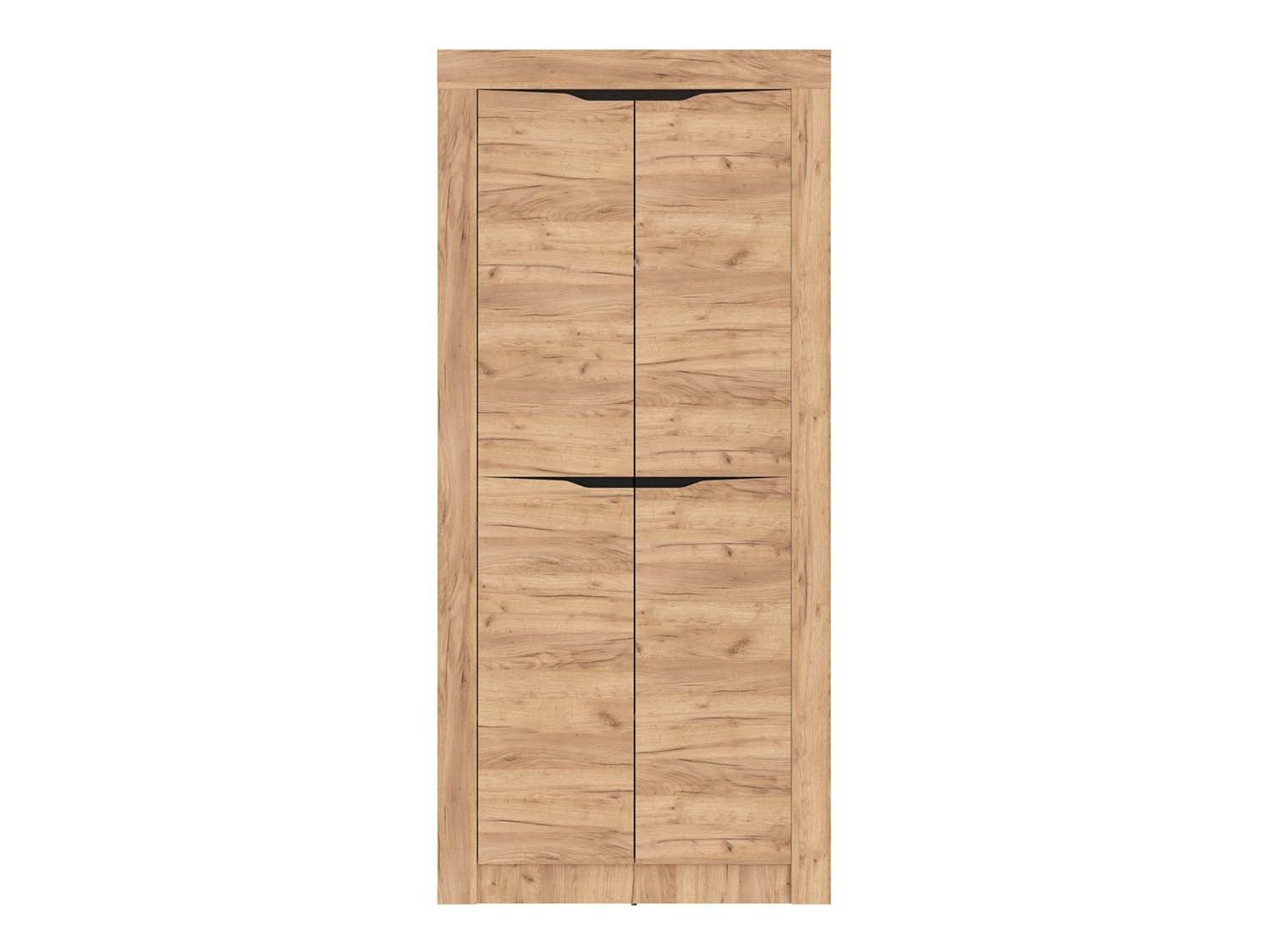 90.03 шкаф для одежды Флорида Дуб золотой / Венге