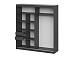 ШКП 3 шкаф-купе 2,0 / Графит