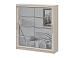 ШКП 3 шкаф-купе 2,0 / Меланж