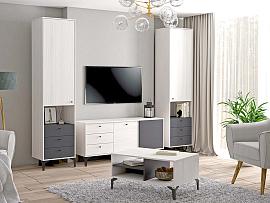 Гостиная Лион 1 - Ясень Анкор светлый/Графит